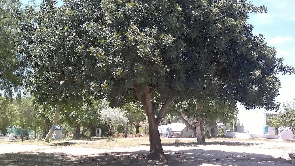 Camping Canelas 호텔 실베스